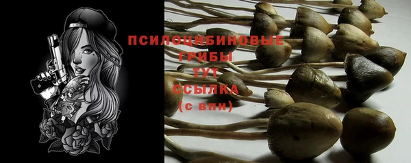 экстази Армянск