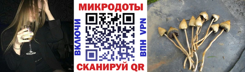 Купить где  Судак  Псилоцибиновые грибы ЛСД 