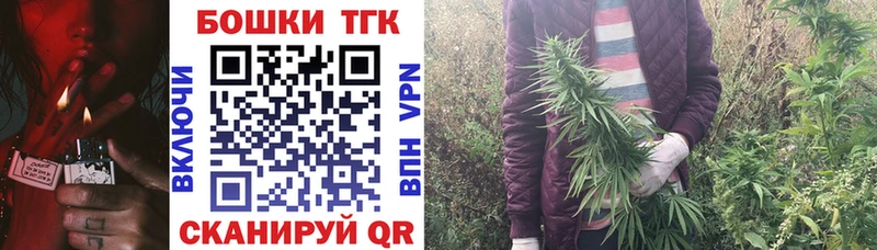 Бошки Шишки VHQ  Купить  Судак 
